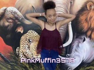 PinkMuffin3578