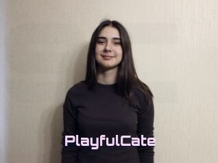 PlayfulCate