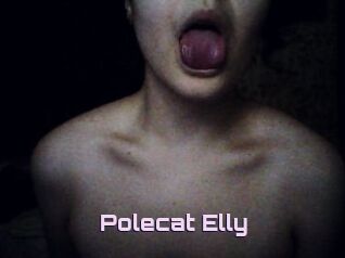 Polecat_Elly