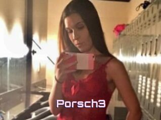 Porsch3