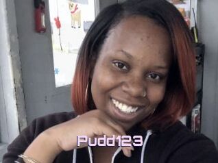 Pudd123