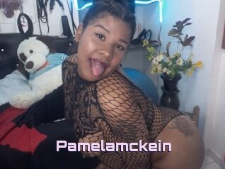 Pamelamckein