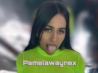 Pamelawaynex