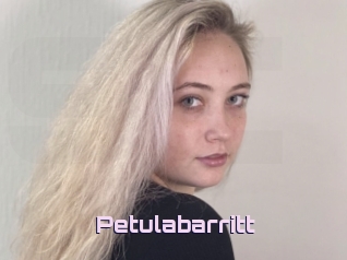 Petulabarritt