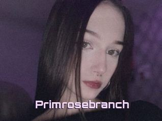 Primrosebranch