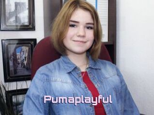 Pumaplayful