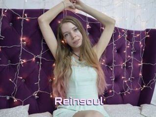 Reinsoul