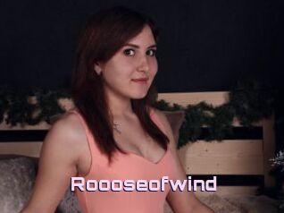 Roooseofwind