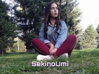SekinoUmi