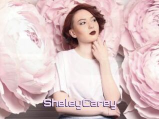 SheleyCarey