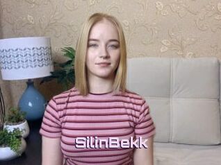 SilinBekk