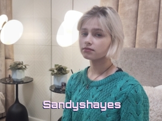 Sandyshayes