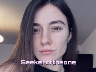 Seekeroftheone