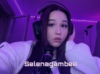 Selenagambee