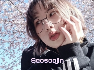 Seosoojin