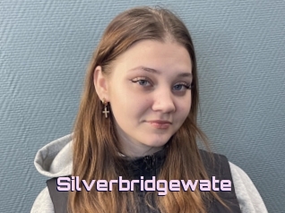 Silverbridgewate