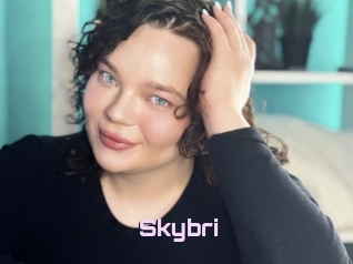 Skybri