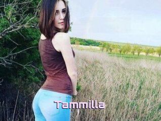Tammilla_