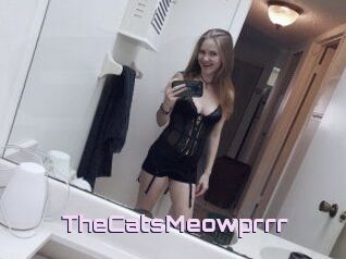 TheCatsMeowprrr