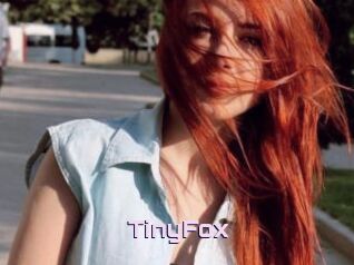 TinyFox