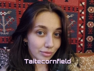Taitecornfield