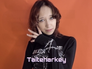 Taiteharkey