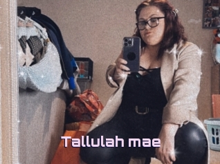 Tallulah_mae