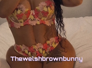 Thewelshbrownbunny