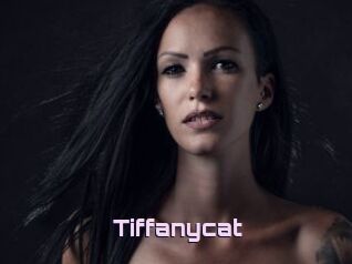Tiffanycat