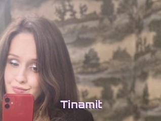 Tinamit