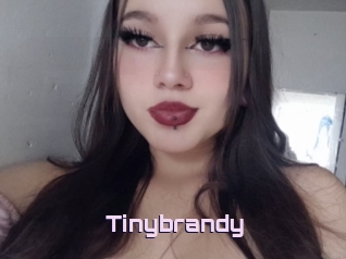 Tinybrandy