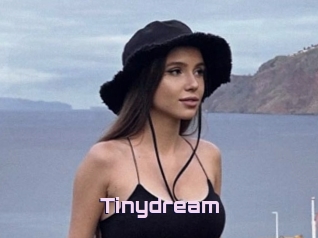 Tinydream