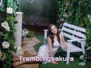 Tremblingsakura