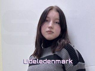 Udeledenmark