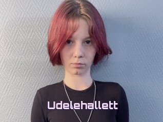Udelehallett