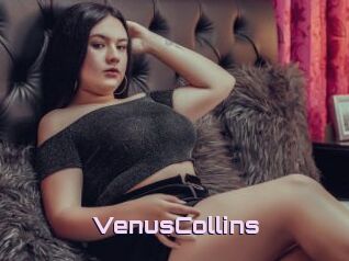 VenusCollins