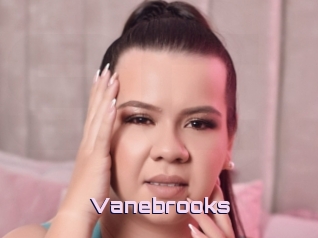 Vanebrooks