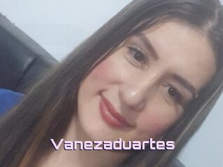 Vanezaduartes