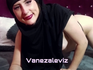 Vanezaleviz