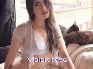 Violett_rose
