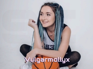 Vulgarmollyx