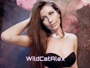 WildCatAlex