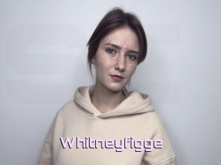 Whitneyfigge