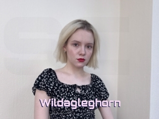 Wildagleghorn