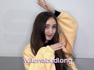 Wilonabudlong