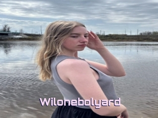 Wilonebolyard