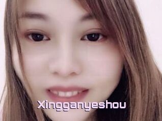 Xingganyeshou