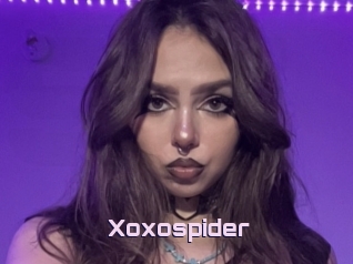 Xoxospider