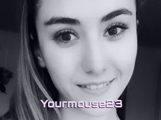 Yourmouse23