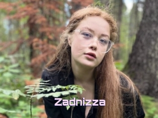Zadnizza